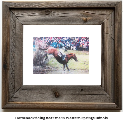 horseback riding near me in Western Springs, Illinois